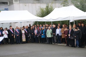 31511498 2027981507451579 5587364371736035328 o 